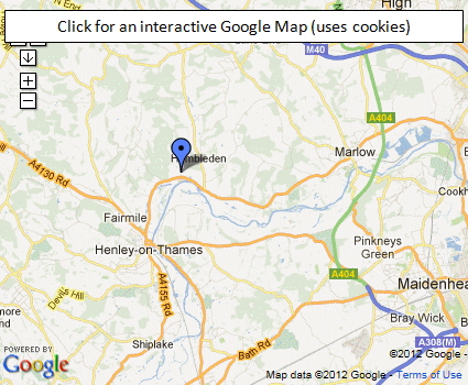 Google Map Image
